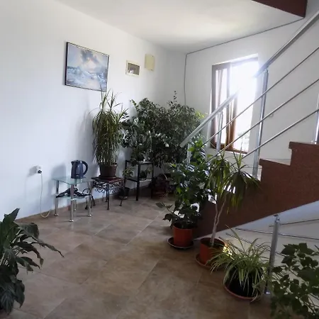 Guest house Zenith