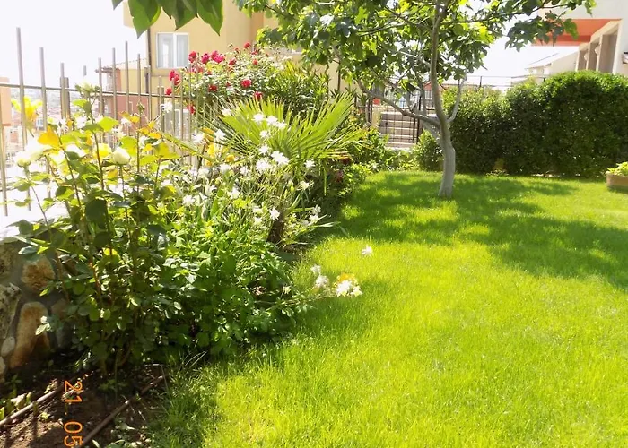 Gasthof Zenith Sosopol