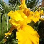 بيت ضيافة Zenith