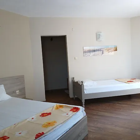 Zenith 4* Süzebolu
