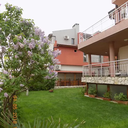 Zenith 4* Süzebolu
