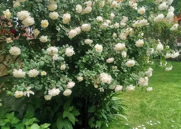 Maison d'hôtes Zenith 3*