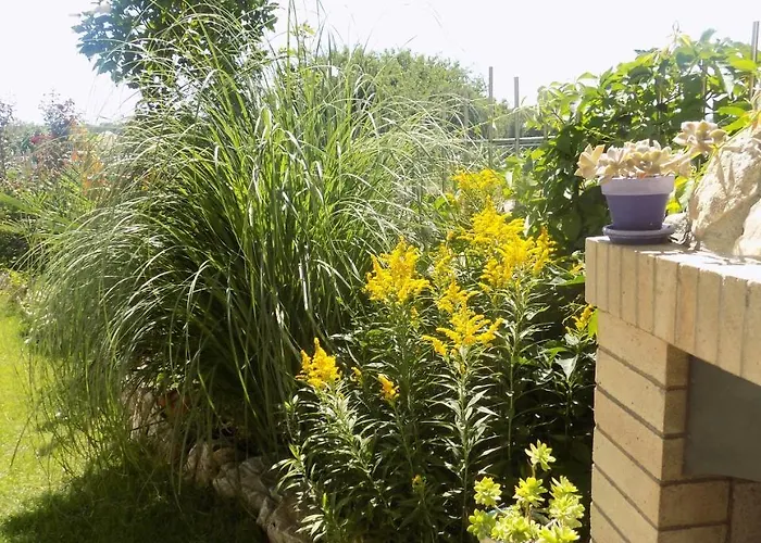 Maison d'hôtes Zenith 3*